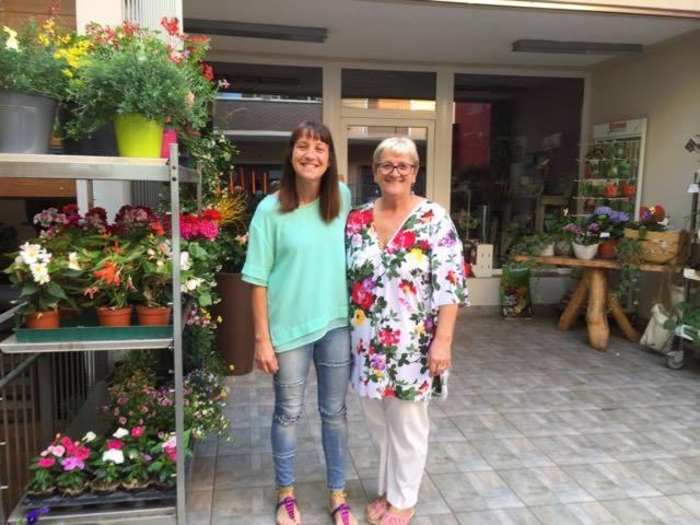 Malonno B&B Il Pettirosso מראה חיצוני תמונה
